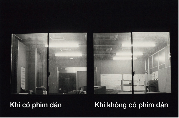 Chống côn trùng │ Phim dán Công Trình │ WINCOS